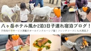 八ヶ岳ホテル風か2泊3日子連れ宿泊ブログ！子供向けのサービス満載のオールインクルーシブ宿！フレンチコースにも大満足のサムネイル画像