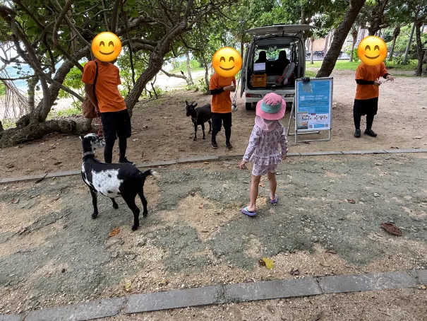 フサキビーチリゾート ホテル&ヴィラズのアニマルスクエアでヤギの散歩をする子供を撮影した写真1