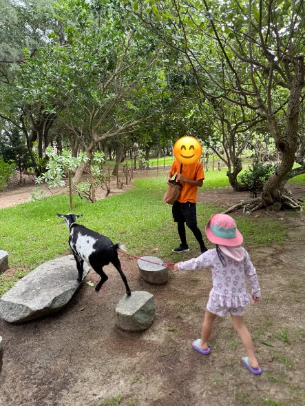 フサキビーチリゾート ホテル&ヴィラズのアニマルスクエアでヤギの散歩をする子供を撮影した写真2