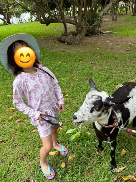 フサキビーチリゾート ホテル&ヴィラズのアニマルスクエアでヤギの散歩をする子供を撮影した写真4