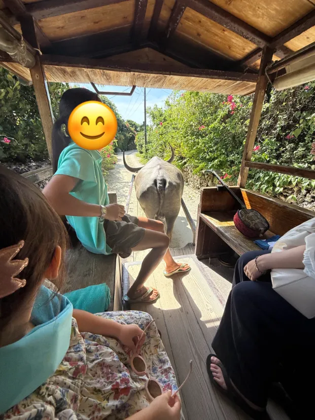 竹富島の水牛車に乗る子供を撮影した写真
