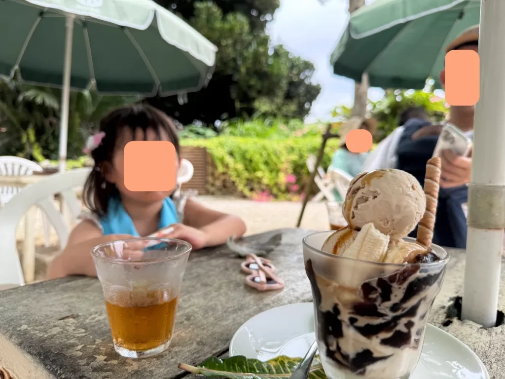 竹富島で食べたパフェを撮影した写真