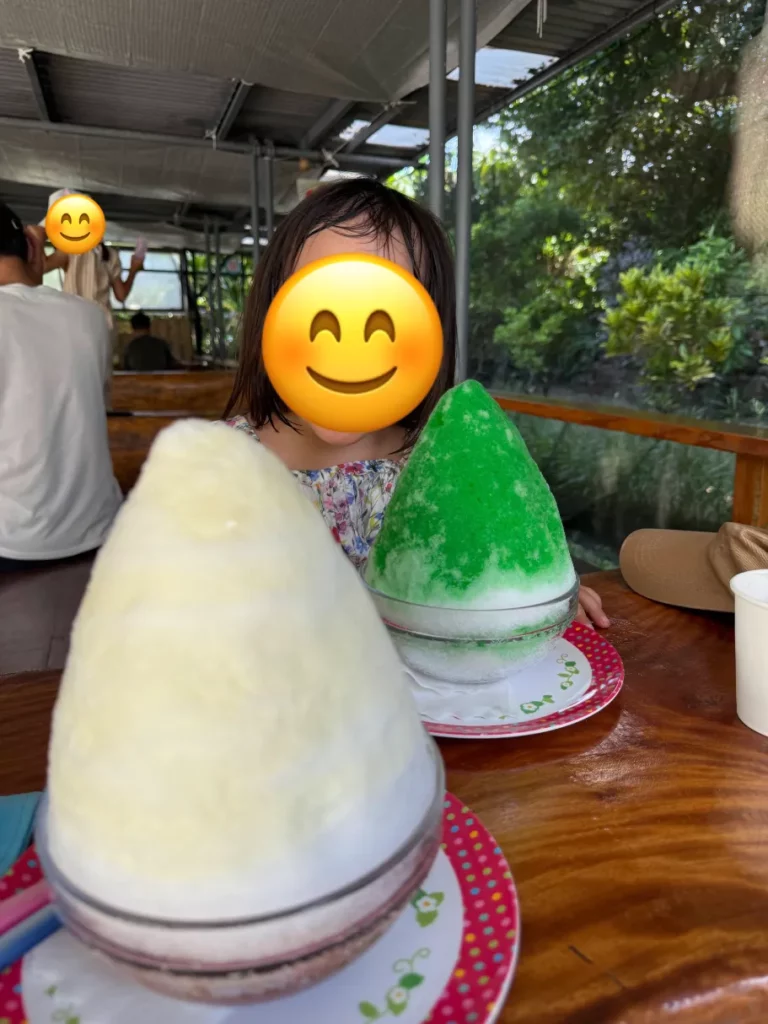 竹富島で食べたかき氷を撮影した写真